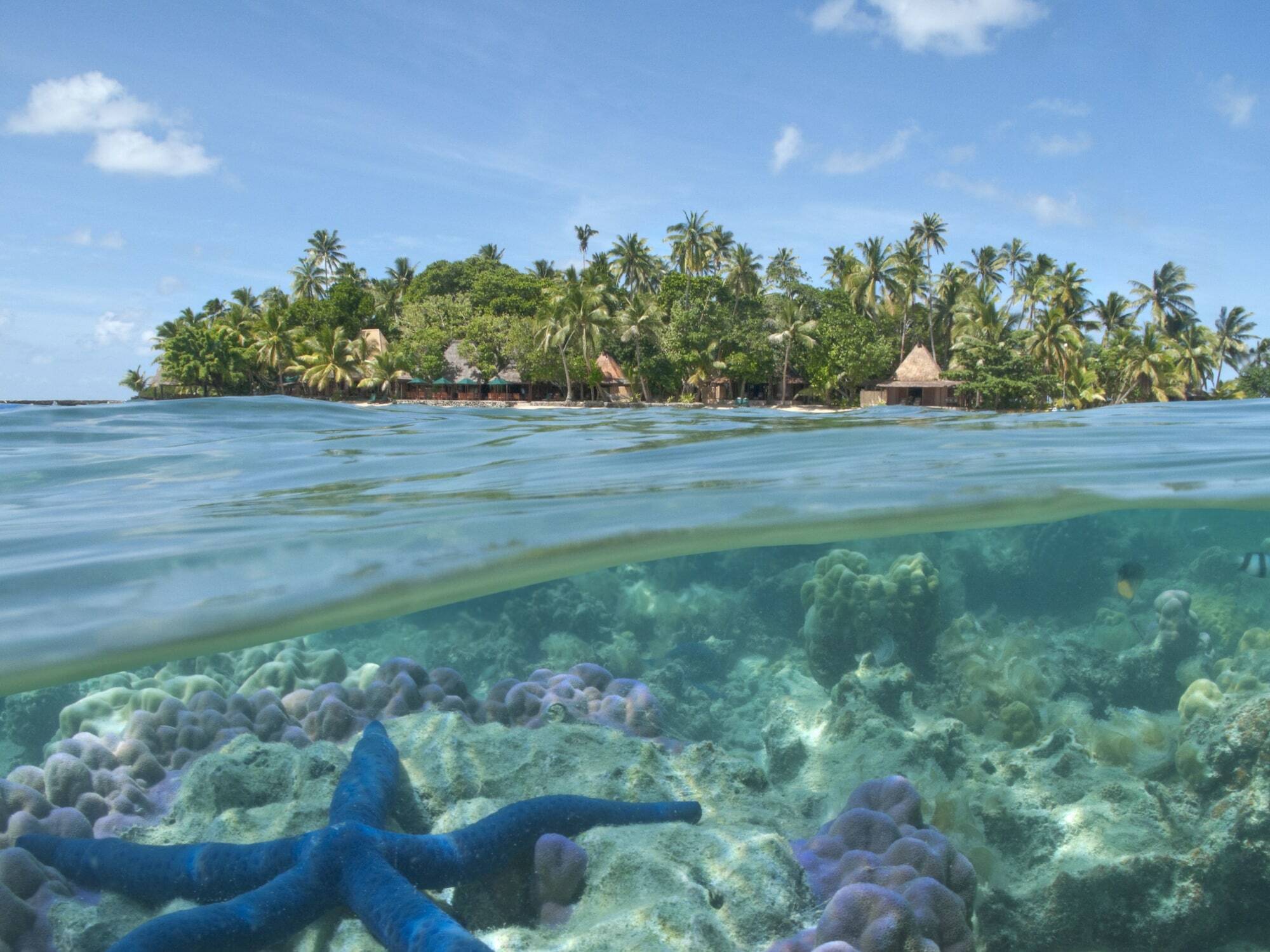 Toberua Island Resort Eksteriør bilde